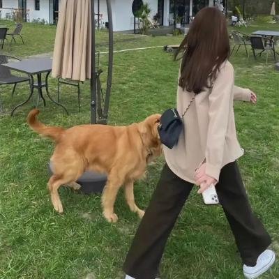 狮子大开口